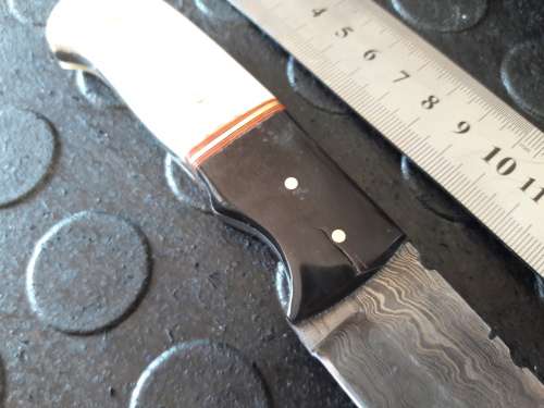 Handmade DAMASCUS steel Knife with Camel bone and bull horn handle. R1 start, No reserve auction.