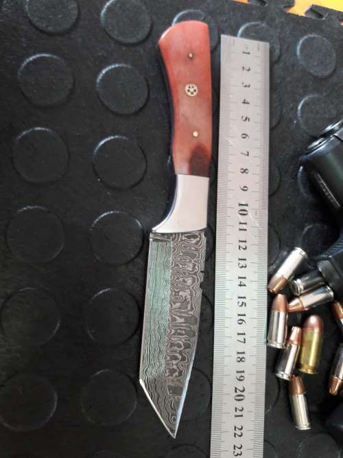 Handmade DAMASCUS Steel Knife, Camel Bone handle. Crazy R1 start, No reserve.