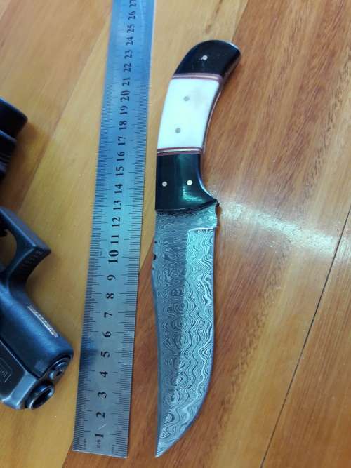 Handmade DAMASCUS Steel Knife, Camel Bone and Bull horn handle scales. Crazy R1 start, No reserve.