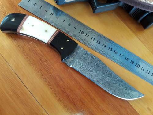 Handmade DAMASCUS Steel Knife, Camel Bone and Bull horn handle scales. Crazy R1 start, No reserve.