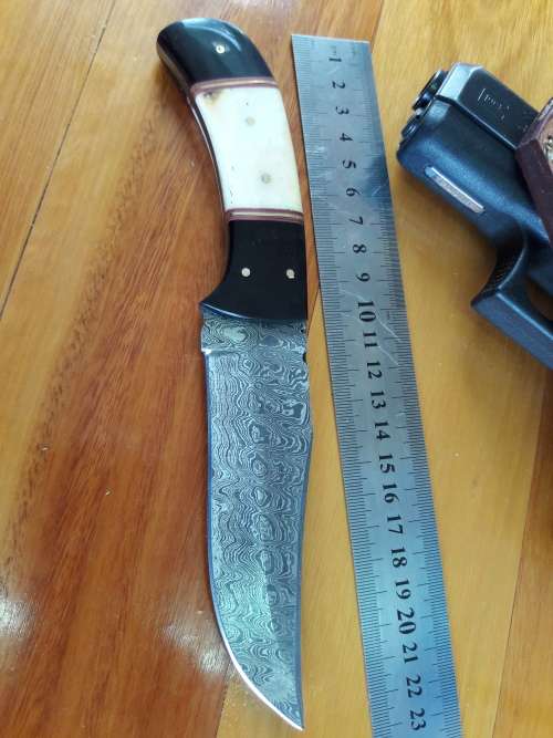 Handmade DAMASCUS Steel Knife, Camel Bone and Bull horn handle scales. Crazy R1 start, No reserve.