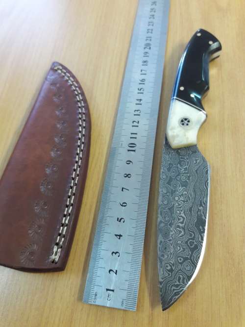 Handmade DAMASCUS Steel Knife, Bull horn and Camel Bone handle scales. NEW DESIGN !!!!!
