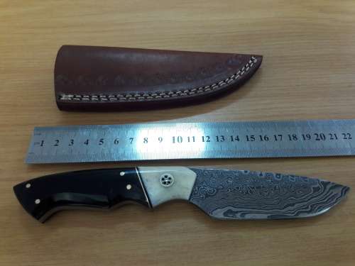 Handmade DAMASCUS Steel Knife, Bull horn and Camel Bone handle scales. NEW DESIGN !!!!!