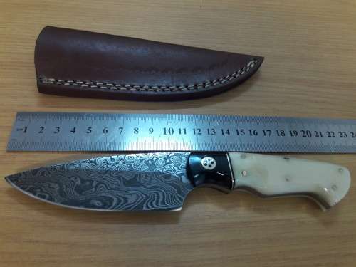 Handmade DAMASCUS Steel Knife, Bull horn and Camel Bone handle scales. NEW DESIGN !!!!