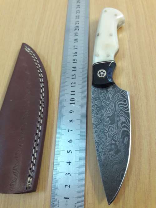 Handmade DAMASCUS Steel Knife, Bull horn and Camel Bone handle scales. NEW DESIGN !!!!