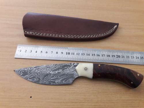 Handmade DAMASCUS Steel Knife, Camel Bone and Wooden handle scales. NEW DESIGN !!!!!