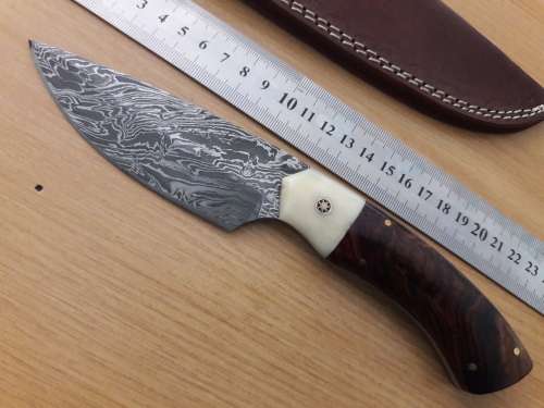 Handmade DAMASCUS Steel Knife, Camel Bone and Wooden handle scales. NEW DESIGN !!!!!
