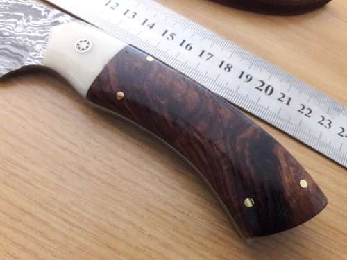 Handmade DAMASCUS Steel Knife, Camel Bone and Wooden handle scales. NEW DESIGN !!!!!