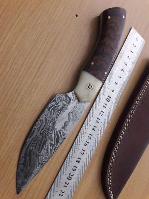 Handmade DAMASCUS Steel Knife, Camel Bone and Wooden handle scales. NEW DESIGN !!!!!