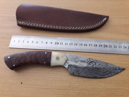 Handmade DAMASCUS Steel Knife, Camel Bone and Wooden handle scales. NEW DESIGN !!!!!