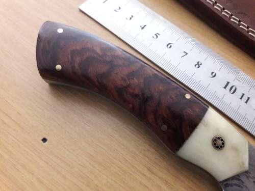 Handmade DAMASCUS Steel Knife, Camel Bone and Wooden handle scales. NEW DESIGN !!!!!