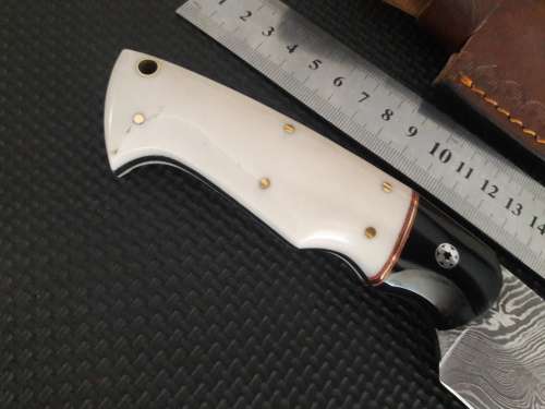 Handmade DAMASCUS Steel Hunting Knife, Bull horn and Camel Bone handle scales. NEW DESIGN !!!!!