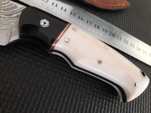 Handmade DAMASCUS Steel Hunting Knife, Bull horn and Camel Bone handle scales. NEW DESIGN !!!!!