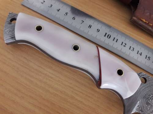 Handmade DAMASCUS Steel Hunting Knife, Camel Bone handle scales. FULL TANG !!!!!