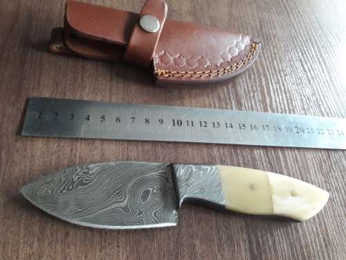 Handmade DAMASCUS Steel Hunting Knife, FULL TANG, Camel Bone handle w Damascus steel bolster