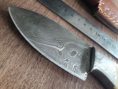 Handmade DAMASCUS Steel Hunting Knife, FULL TANG, Camel Bone handle w Damascus steel bolster