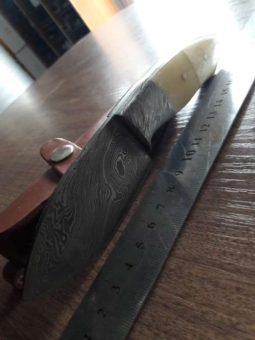 Handmade DAMASCUS Steel Hunting Knife, FULL TANG, Camel Bone handle w Damascus steel bolster