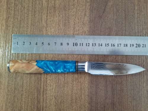 Damascus VG-10 Stainless Steel PAIRING knife, Exotic Burl & Epoxy handle.  RAZOR SHARP !!!!!