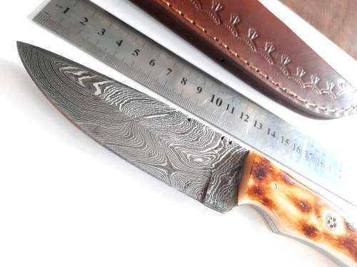 Handmade DAMASCUS Steel Hunting Knife, BURNT Camel Bone Handle scales.