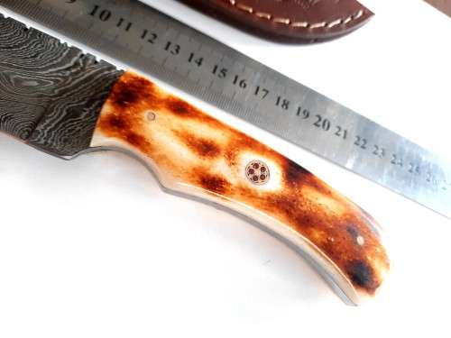 Handmade DAMASCUS Steel Hunting Knife, BURNT Camel Bone Handle scales.