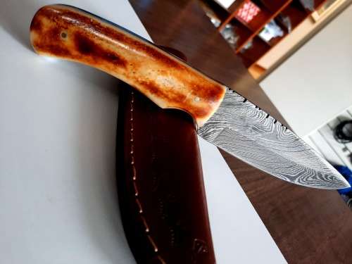 Handmade DAMASCUS Steel Hunting Knife, BURNT Camel Bone Handle scales.