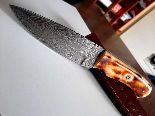 Handmade DAMASCUS Steel Hunting Knife, BURNT Camel Bone Handle scales.