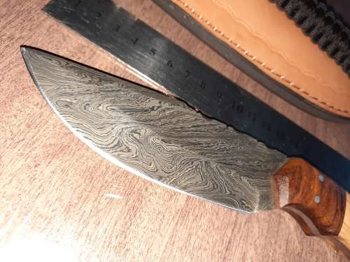 Handmade Damascus steel HUNTING  knife with WOODEN handle scales. FREE survival Bracelet !!!! !!