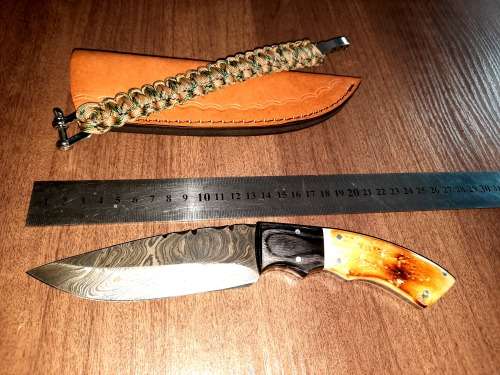 Handmade Damascus steel HUNTING  knife with Wood & Burnt Camel Bone handle scales. FREE BRACELET