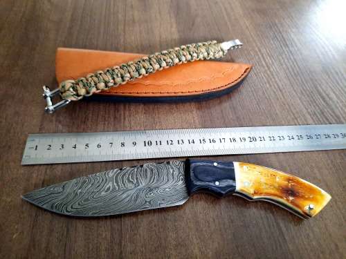 Handmade Damascus steel HUNTING  knife with Wood & Burnt Camel Bone handle scales. FREE BRACELET