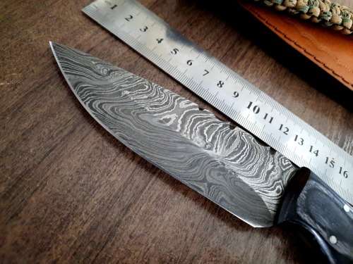 Handmade Damascus steel HUNTING  knife with Wood & Burnt Camel Bone handle scales. FREE BRACELET