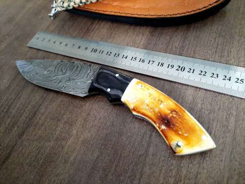 Handmade Damascus steel HUNTING  knife with Wood & Burnt Camel Bone handle scales. FREE BRACELET