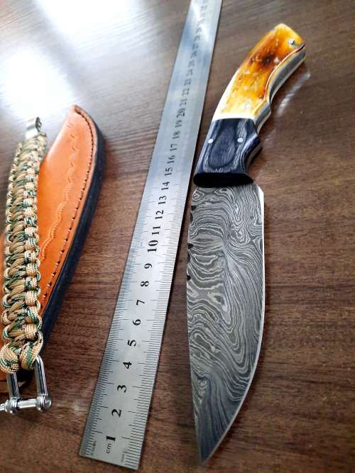 Handmade Damascus steel HUNTING  knife with Wood & Burnt Camel Bone handle scales. FREE BRACELET