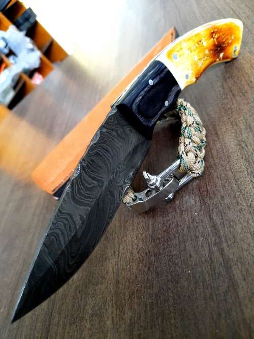 Handmade Damascus steel HUNTING  knife with Wood & Burnt Camel Bone handle scales. FREE BRACELET