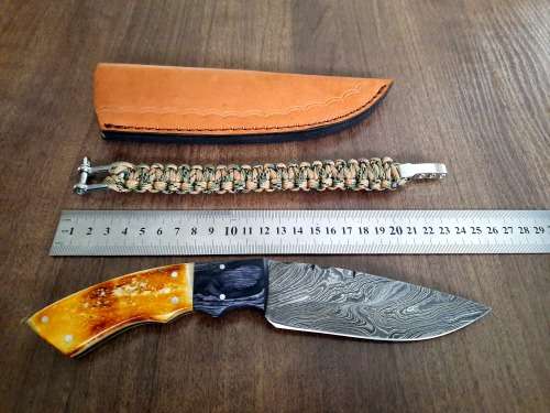 Handmade Damascus steel HUNTING  knife with Wood & Burnt Camel Bone handle scales. FREE BRACELET