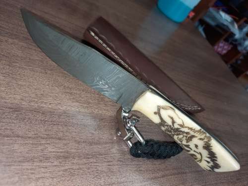 Handmade Damascus steel HUNTING  knife with Camel Bone handle scales Wolf engraved, FREE BRACELET