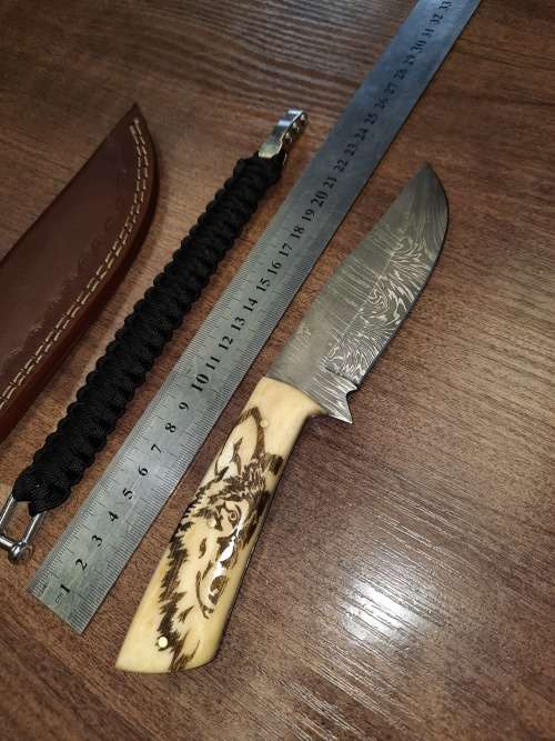 Handmade Damascus steel HUNTING  knife with Camel Bone handle scales Wolf engraved, FREE BRACELET