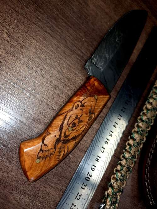 Handmade Damascus steel HUNTING Knife with Wooden handle scales w Bear engraved. Free Bracelet.