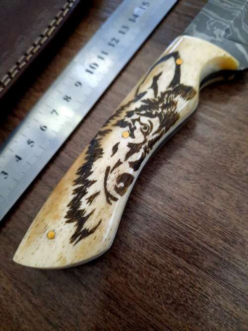 Handmade Damascus steel HUNTING Knife w Camel Bone handle scales, Exact knife you will receive.
