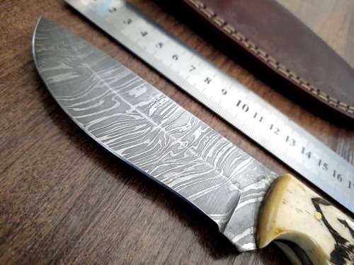 Handmade Damascus steel HUNTING Knife w Camel Bone handle scales, Exact knife you will receive.