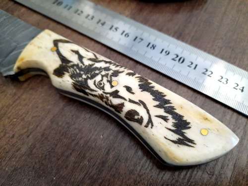 Handmade Damascus steel HUNTING Knife w Camel Bone handle scales, Exact knife you will receive.
