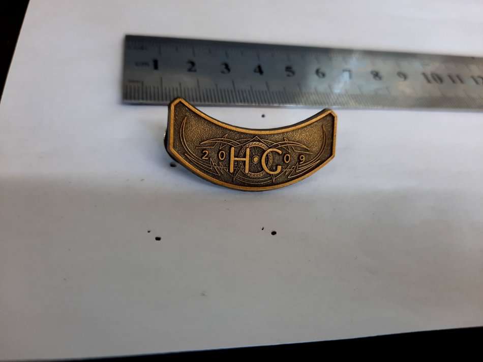 Harley Davidson Jacket pin. HOG 2009, Combine all your auctions and pay only one shipping fee.