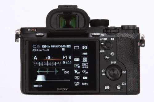 Sony Alpha A7R ll mirrorless camera with  Sony FE 3.5-6.3  24~240 telephoto lens.