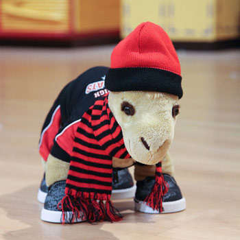 Camelle the Camel for Teddy Bear Clinic