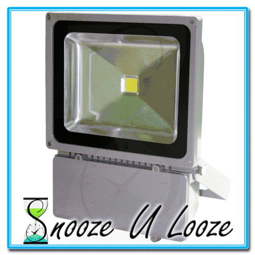 80W LED Floodlight  *6 Month Warranty*
