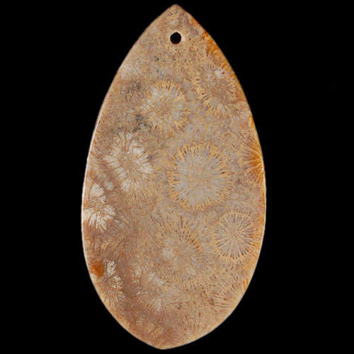 BROWN CORRAL FOSSIL FREEFORM  62MM X 37MM X 6MM   WITH BAIL AND THONG