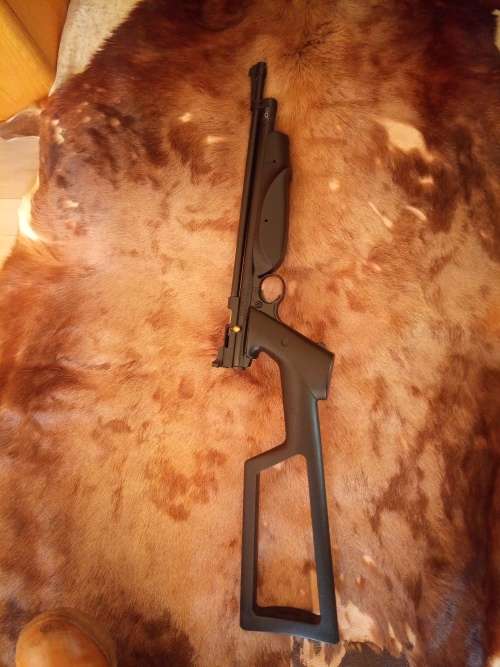 Air Rifle BACKPACKER Model 22890 .22 CAL.