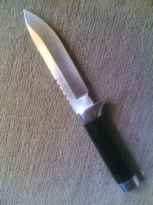 OUTDOOR/HUNTING KNIFE STUNNING EBONY WOOD HANDLE 440C SS BLADE