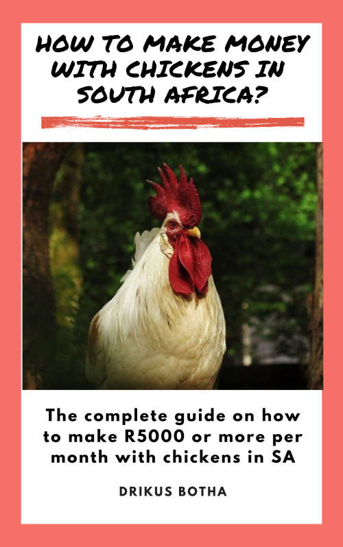 How To Make R5000 (or more) Per Month With Chickens In South Africa!