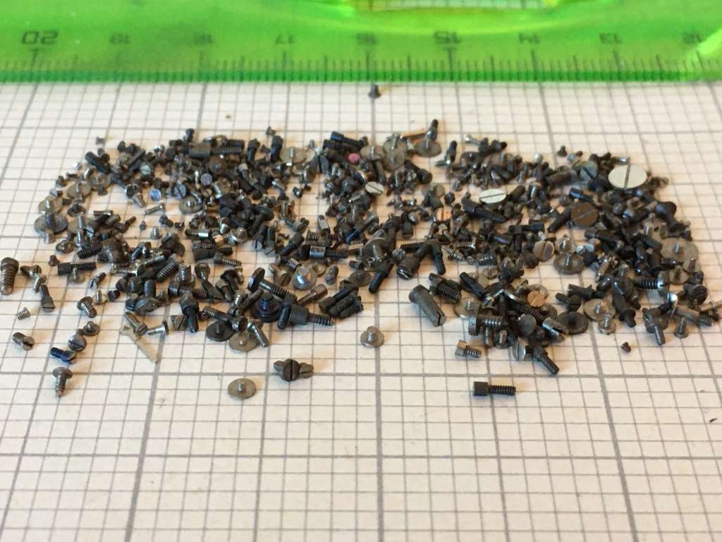 5 grams assorted used watch screws #1