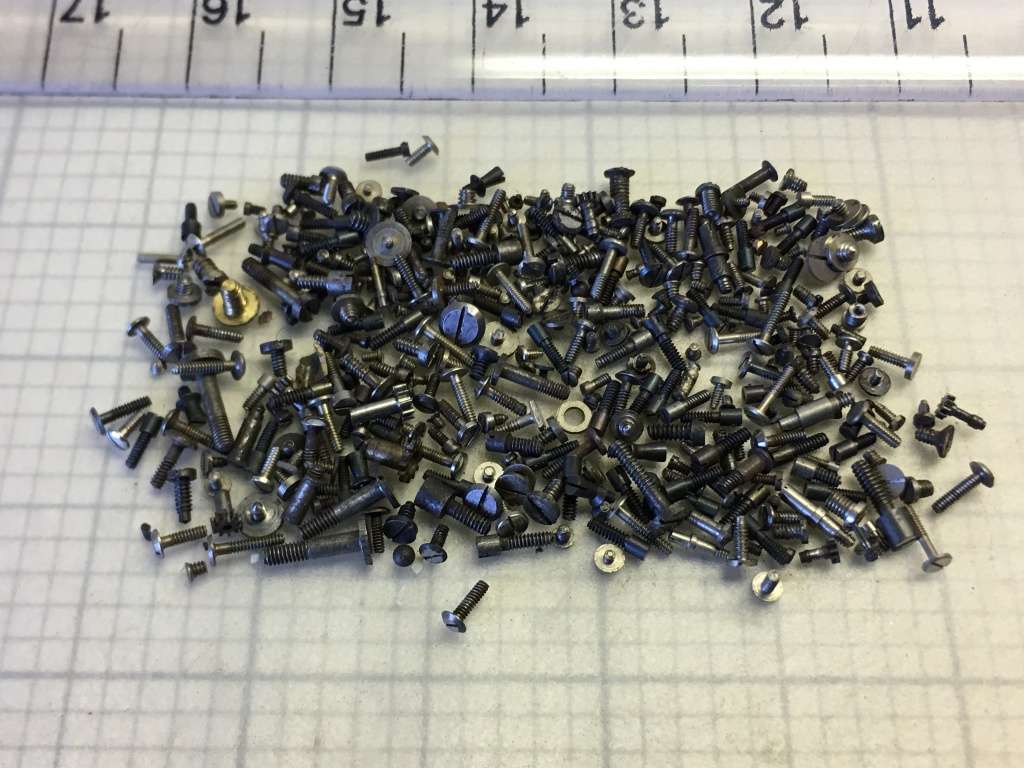 5 grams assorted used watch screws #10